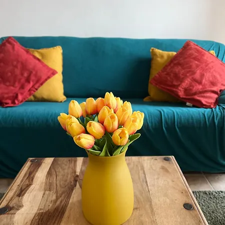 Skyscraper شقة بونتيديرا