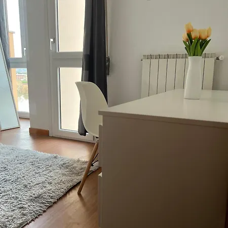 Skyscraper بونتيديرا