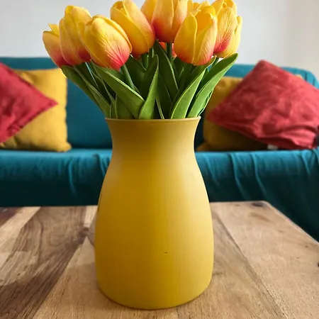 Skyscraper شقة بونتيديرا