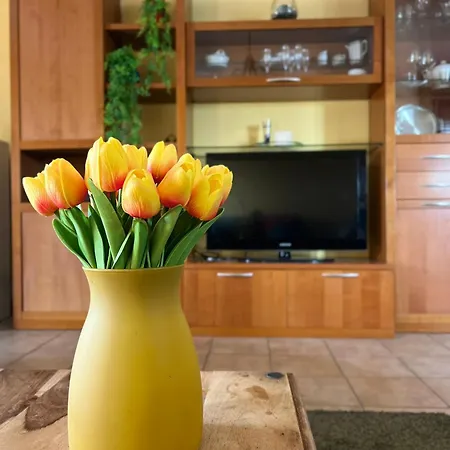 Skyscraper Διαμέρισμα