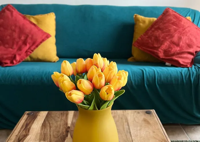 Skyscraper 公寓 蓬泰代拉