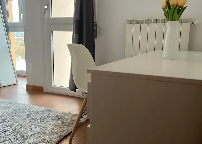 Skyscraper 蓬泰代拉